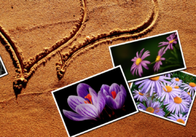 Come incollare una foto su unaltra